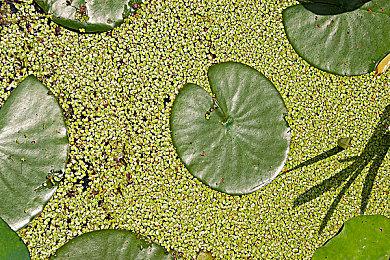 《霍格沃茨之遗》11分钟演示 展示潜行和魔法战斗